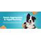 HEAVENLY HOUNDS RELAXATION SQ