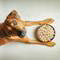 WERUVA DOG FD PAW LICK CH 1Z