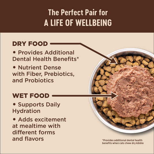 WELLNESS CORE KITTEN 5.14#