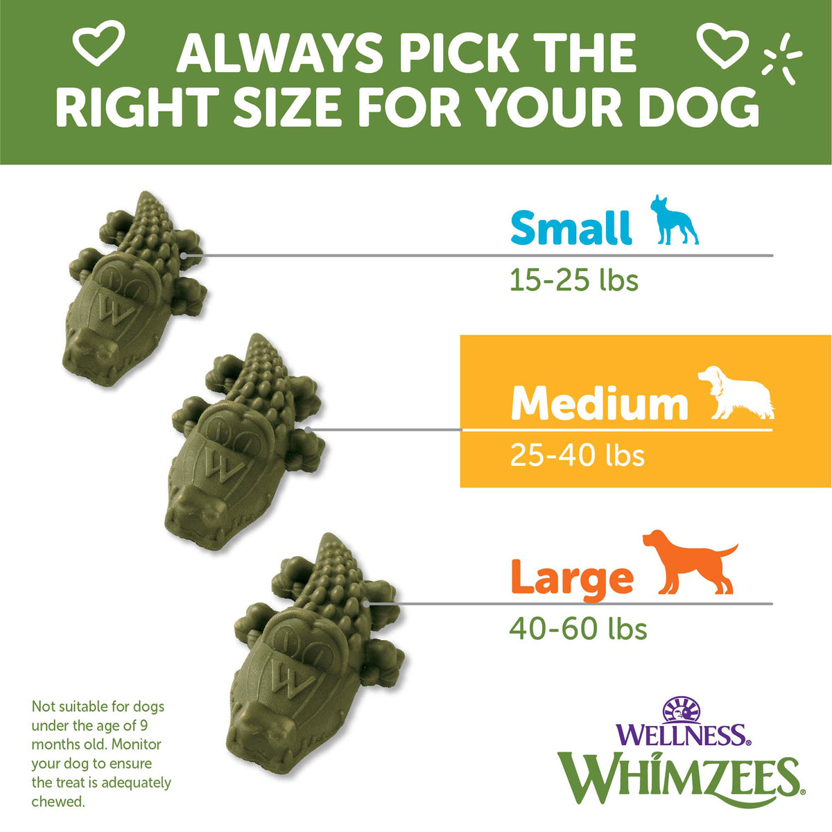 WHIMZEE ALLIGATOR DENTAL CH M