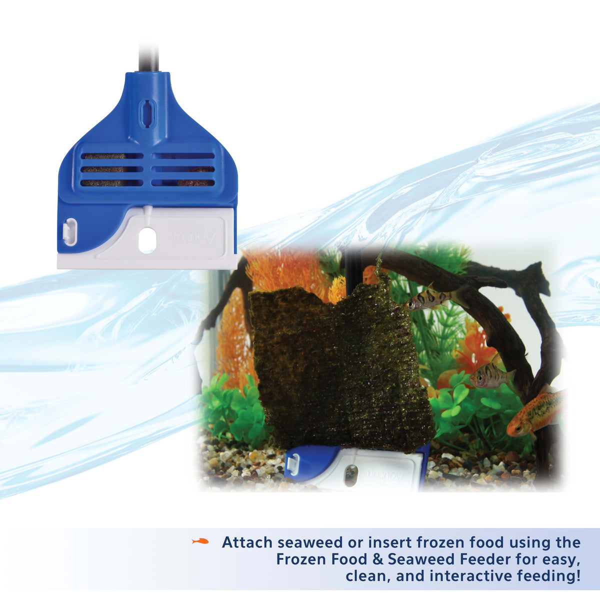 AQE PROSCRAPER ALGAE SHORT