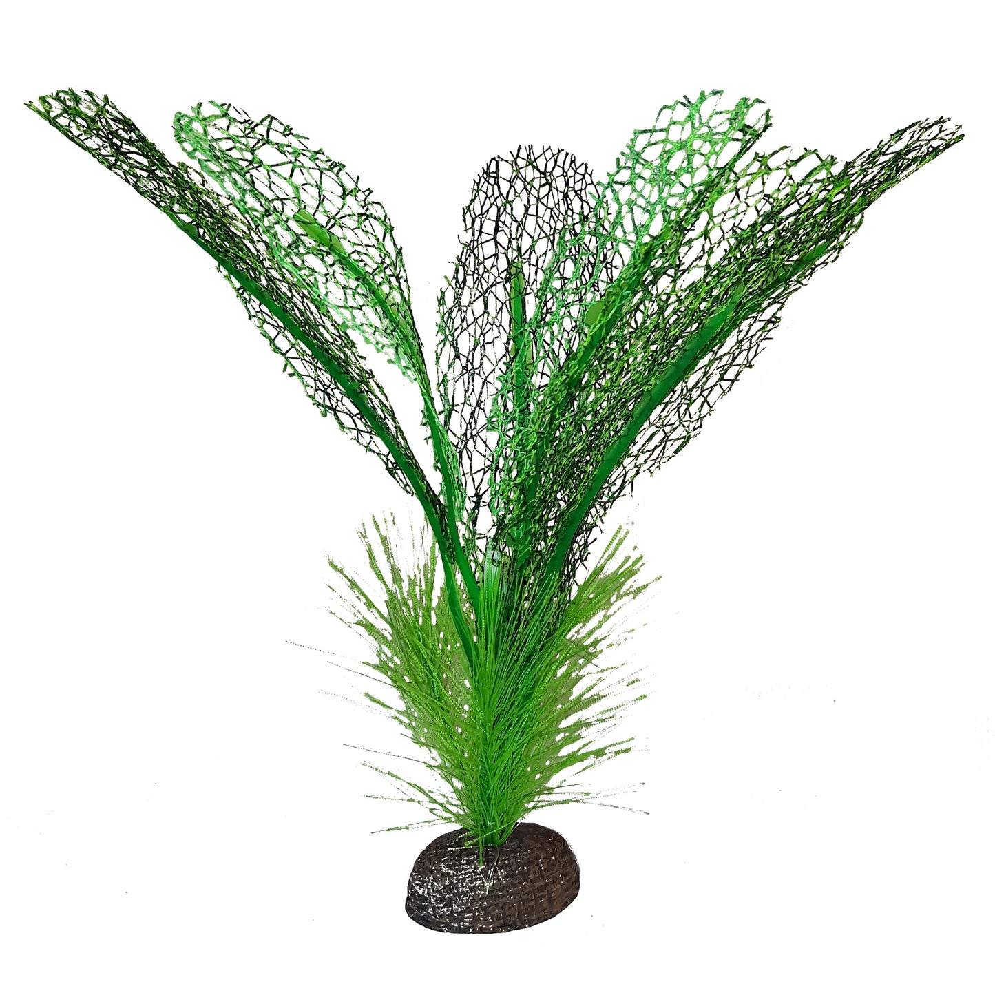 FLUVAL BETTA MADAGASCAR PLANT