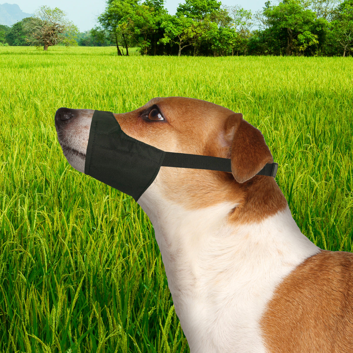 QUICK FIT MUZZLE SIZE 1