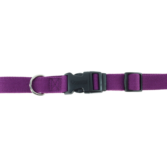 COASTAL SOY 1" CLR EGGPLANT
