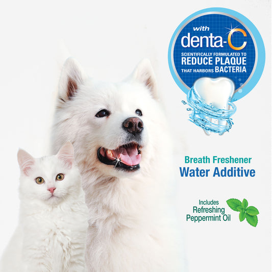 NYLABONE ORAL ADV LIQUID FRSH