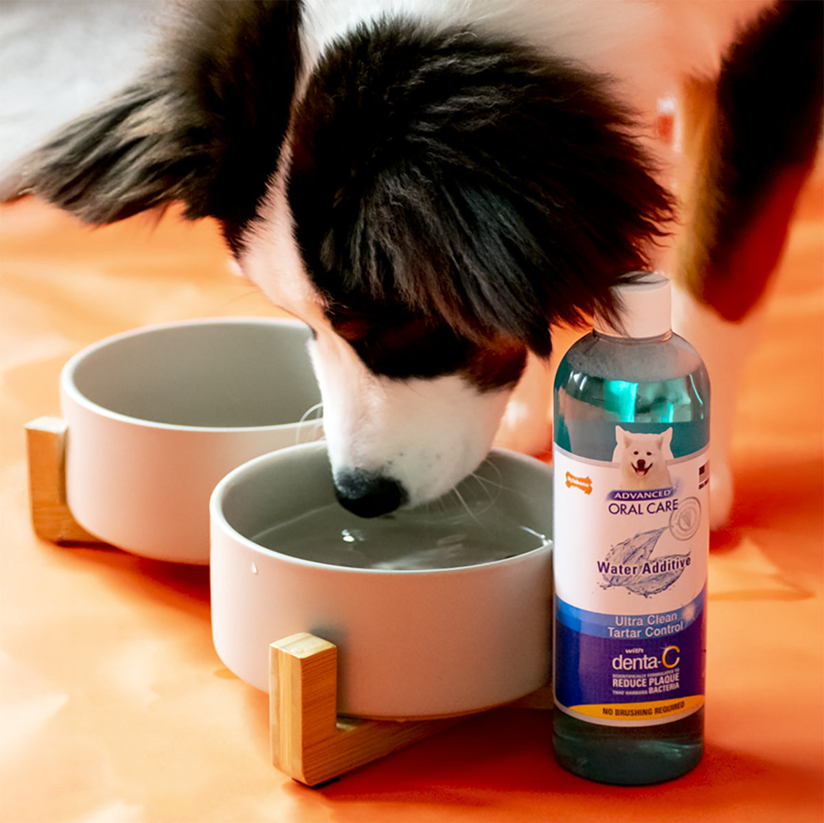 NYLABONE ORAL ADV LIQUID FRSH