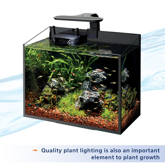AQE SUPPLEMNT AQ PLANT FOOD 4Z