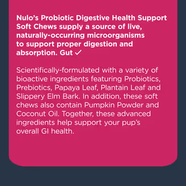 NULO PROBIOTIC CHEW 9.5 OZ