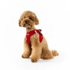 EZYDOG FORMFIT MESH HARNESS XL