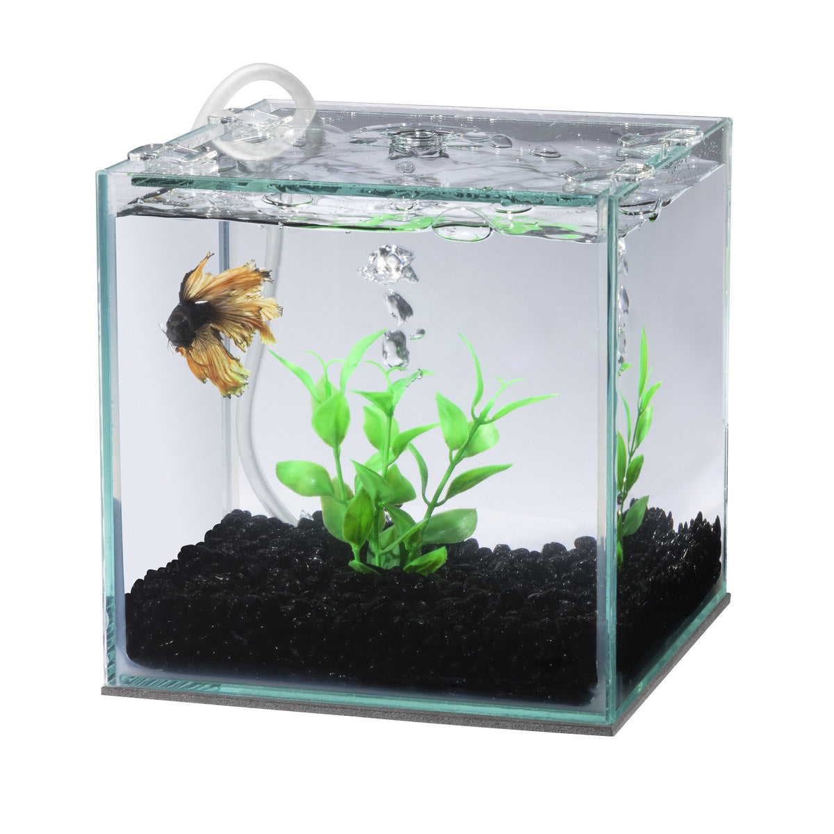 AQE CARTRIDGE FILTER BETTA 2PK