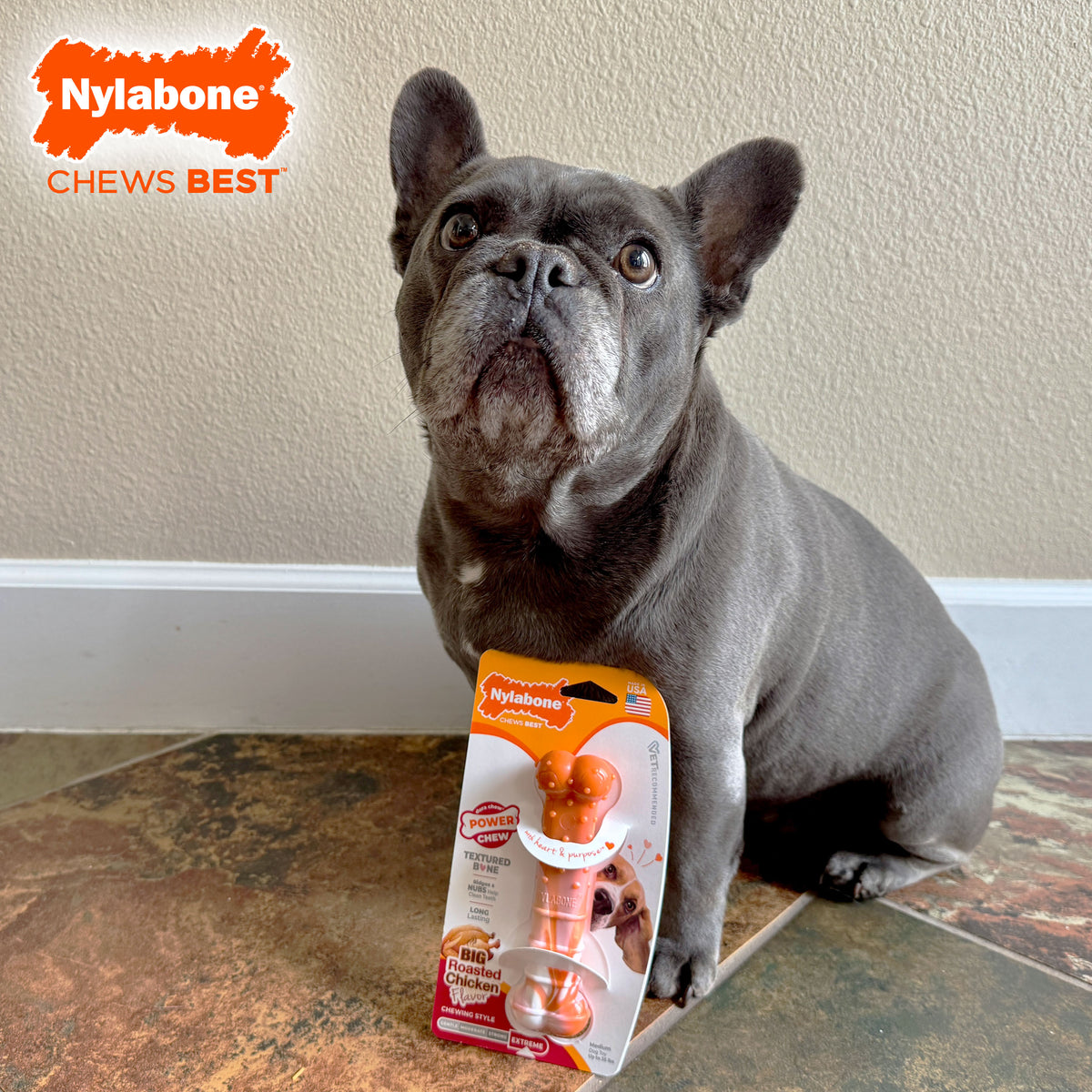 NYLABONE POWER CHW BONE CH M