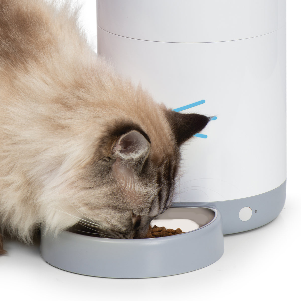 CATIT PIXI VISION SMART FEEDER