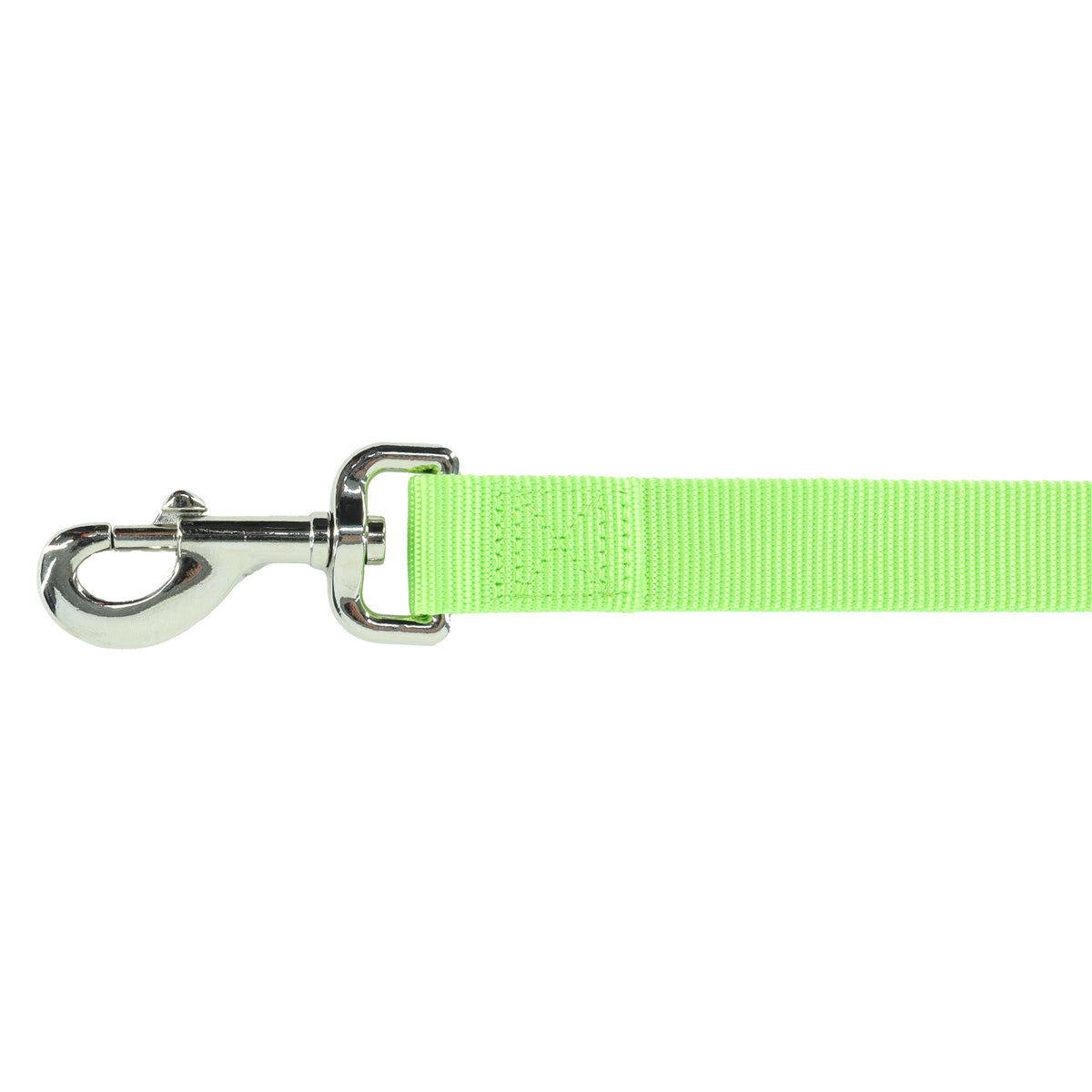 1" NYLON 4' LEASH LIME