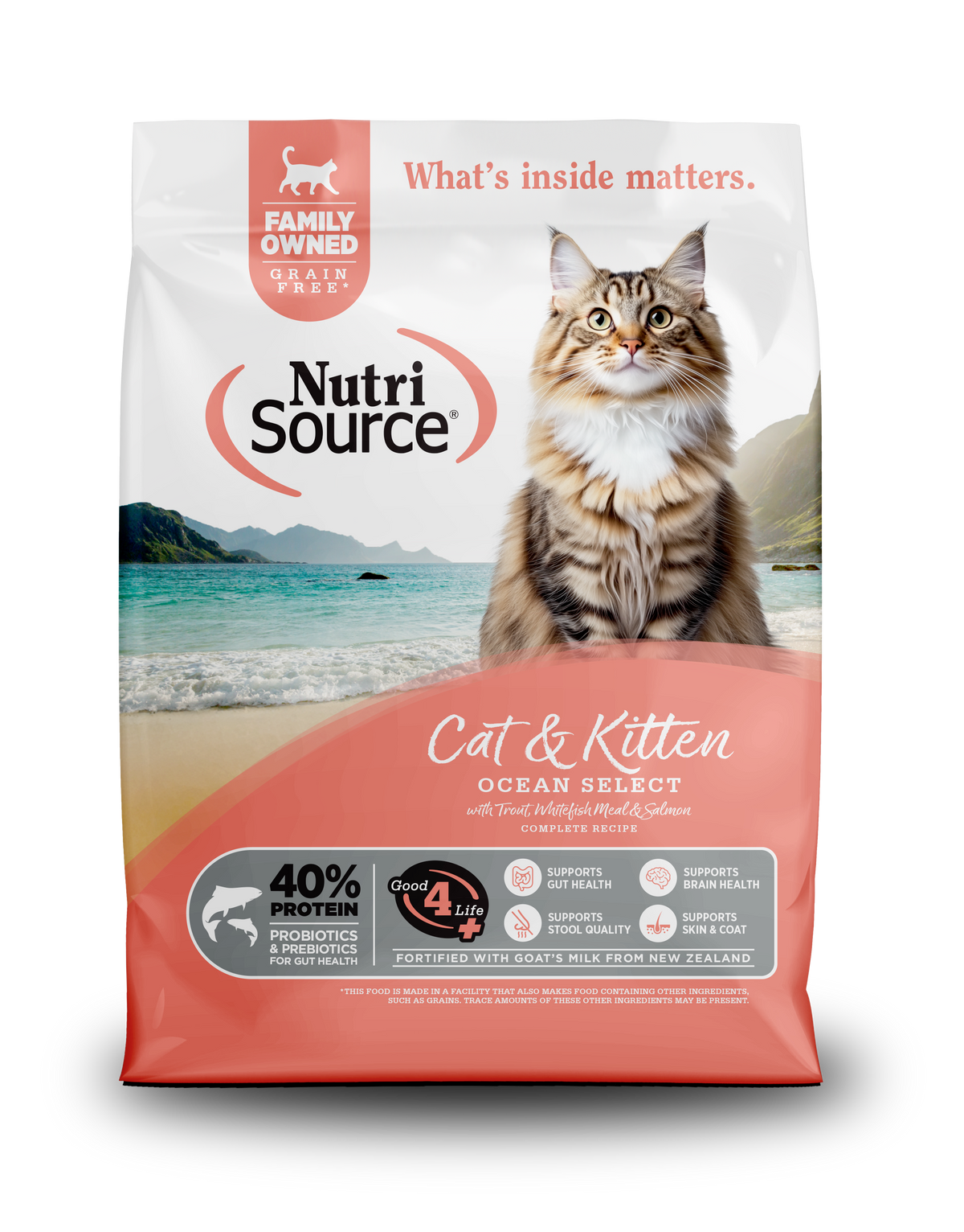 NS GF OCEAN SELECT CAT 4#