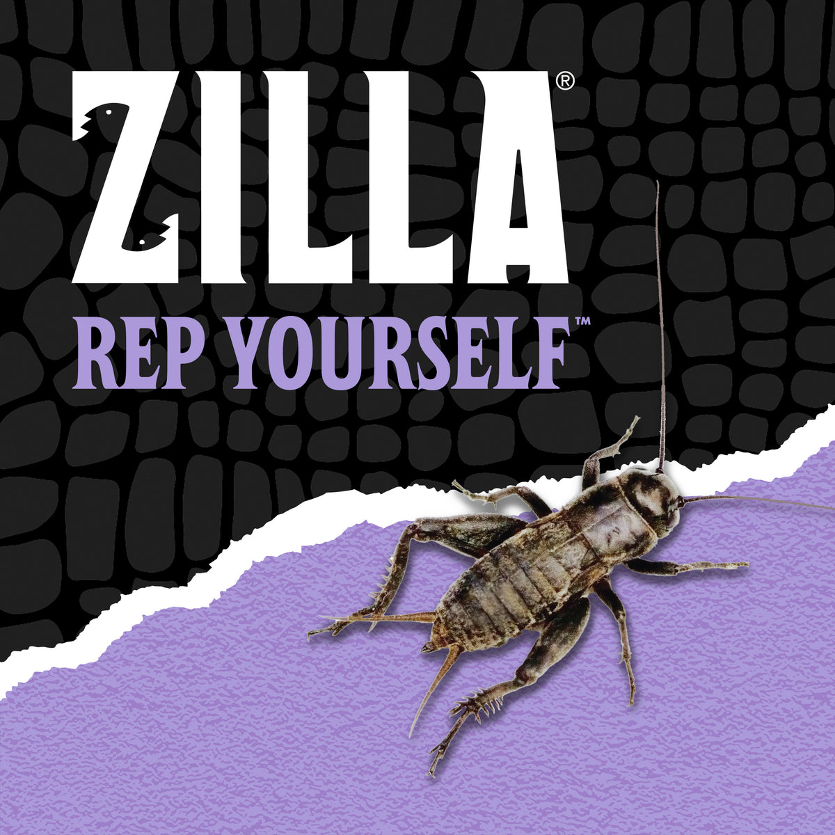 ZILLA CRICKET DRINK 16Z