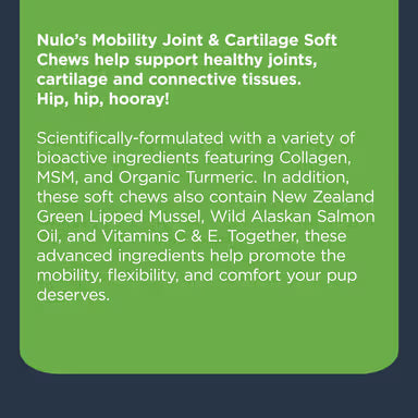 NULO MOBILITY CHEW SUPP 9.5Z