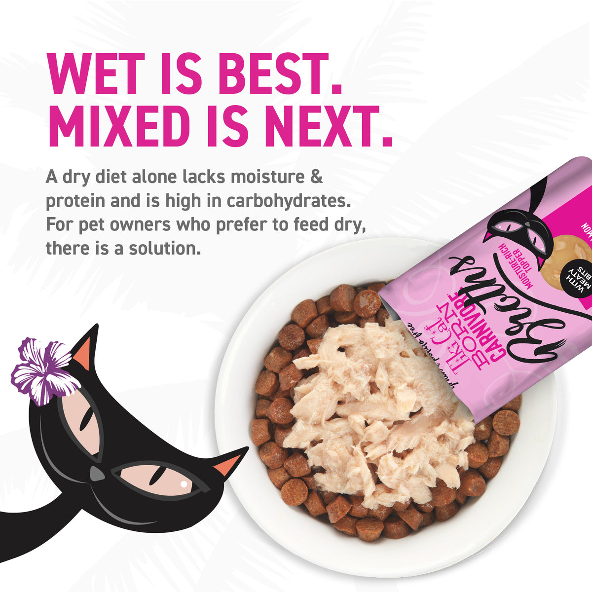 TIKI CAT BROTH SALMON 1.3Z