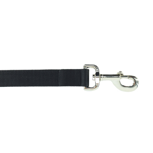 COASTAL LEAD BLK 3/8X6'