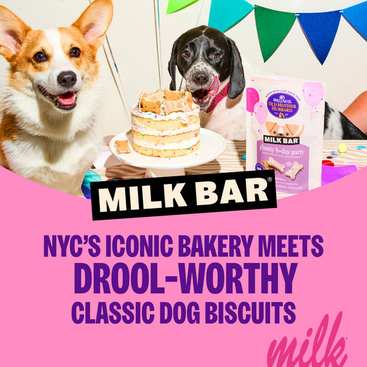 WELLNESS BDAY MILK BAR PB S 10