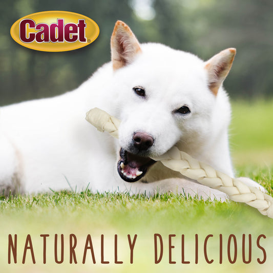 Rawhide Braid Stick — Large