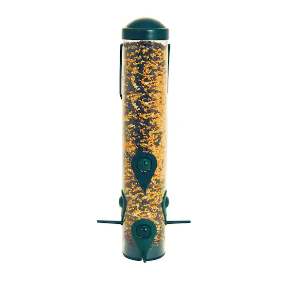 WB SIERRA FEEDER GREEN 1.8 - RJ Paddywacks