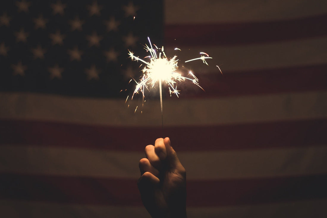 A Safe and Fun 4th with your Furry Friends - RJ Paddywacks