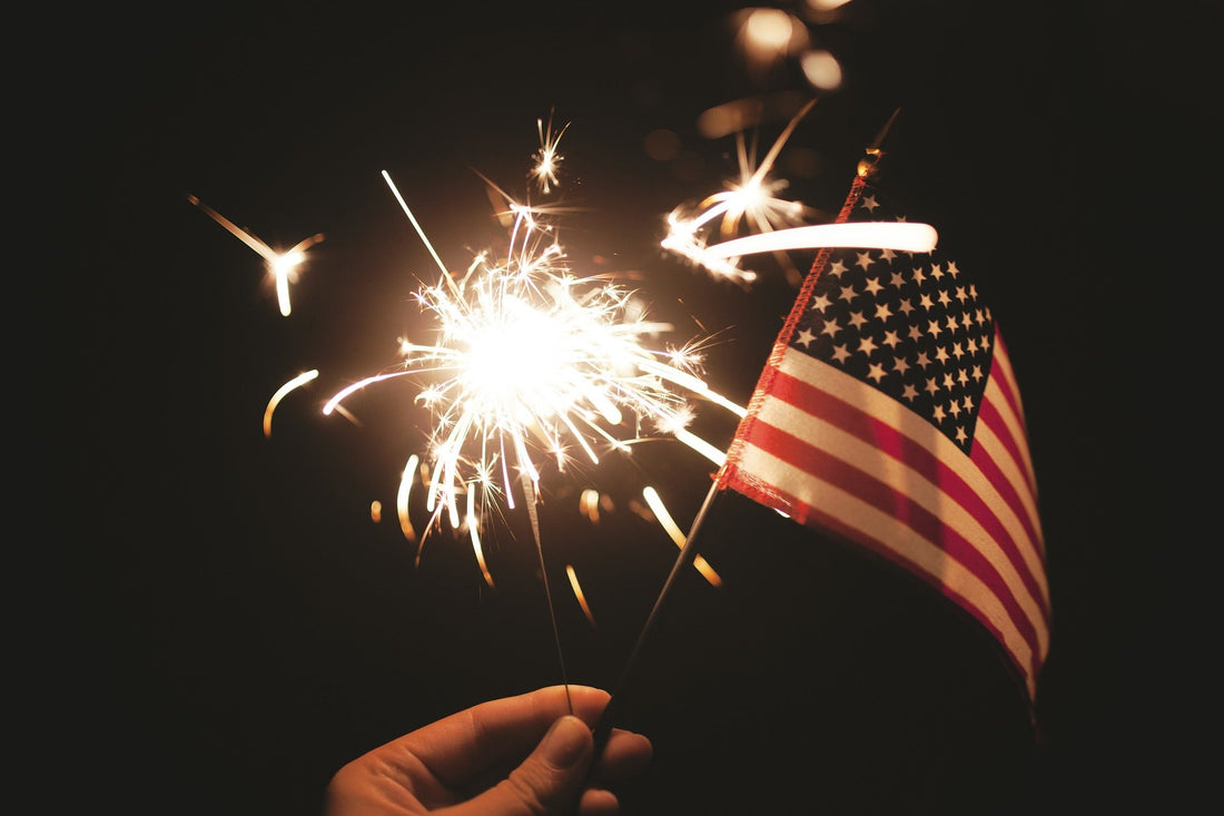 Celebrating Your Dog's Peace of Mind During Holiday Fireworks - RJ Paddywacks