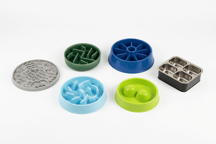 DOG SLOW FEEDERS - RJ Paddywacks