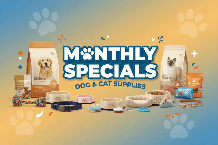 MONTHLY SPECIALS - RJ Paddywacks