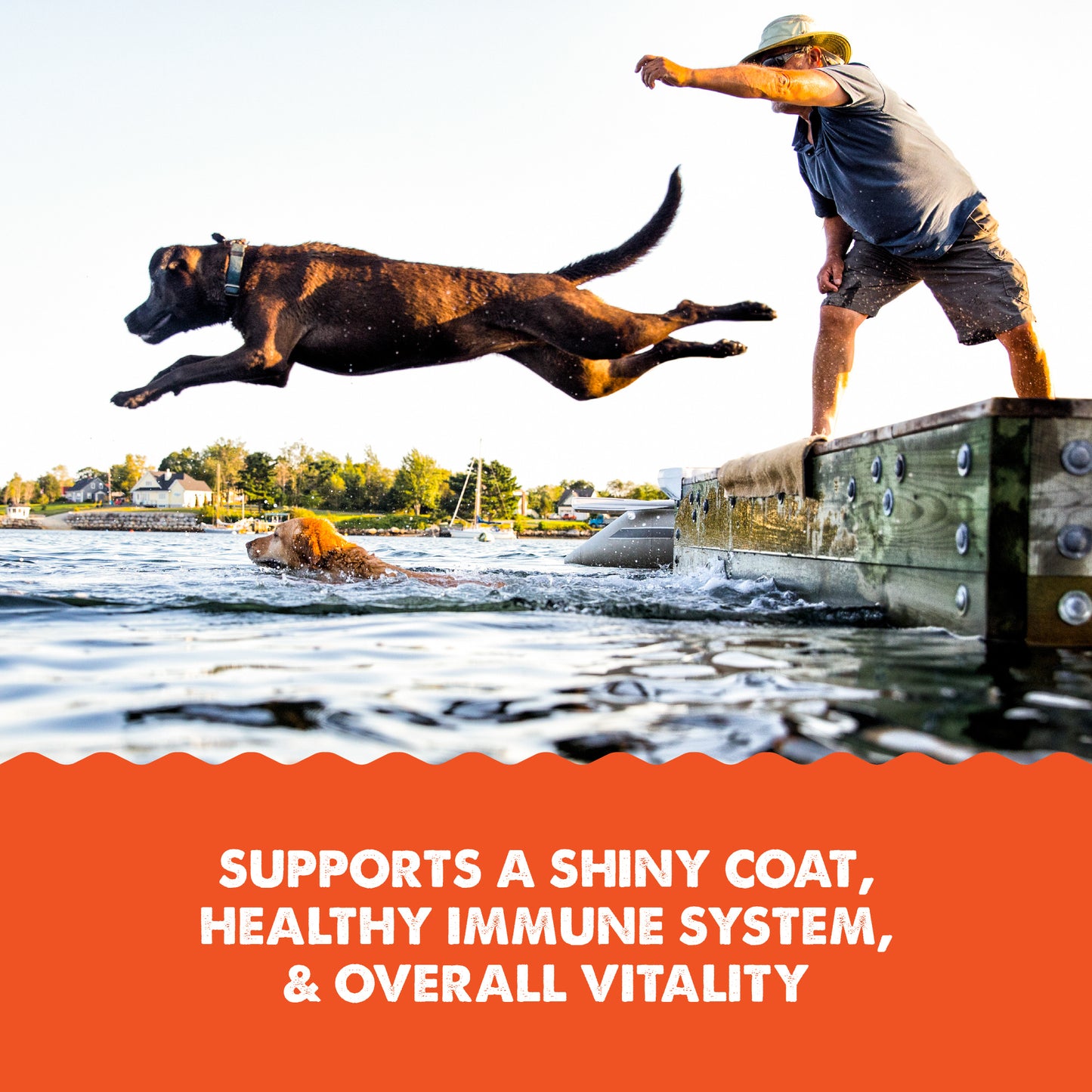 GRIZZLY SALMON OIL 32oz
