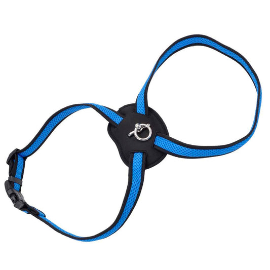 COASTAL 1" HARNESS BLUE L