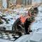 THE PATHFINDER HARNESS CAT