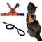 THE PATHFINDER HARNESS CAT