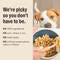 HONEST KITCHEN LAMB WG 4#