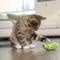 PETSTAGES CRNCH PICKLE CATNIP