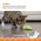 PETSTAGES CRNCH PICKLE CATNIP