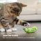 PETSTAGES CRNCH PICKLE CATNIP