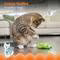 PETSTAGES CRNCH PICKLE CATNIP
