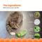 PETSTAGES CRNCH PICKLE CATNIP