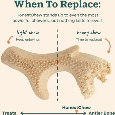 WOOF HONESTCHEW ANTLER L
