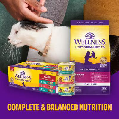 Wellness Complete Health Pate Beef & Salmon Natural Grain-Free Cat Food, 12.5-oz can