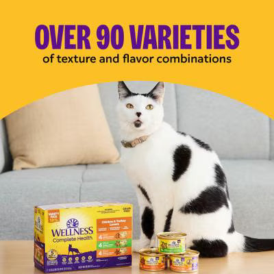 Wellness Complete Health Pate Beef & Salmon Natural Grain-Free Cat Food, 12.5-oz can