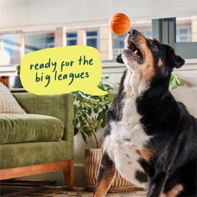Woof Flyball Fetch Ball & Fits Standard Launchers Interactive Dog Toy, Lavender/Orange/Yellow, 3 count