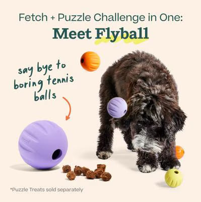 Woof Flyball Fetch Ball & Fits Standard Launchers Interactive Dog Toy, Lavender/Orange/Yellow, 3 count