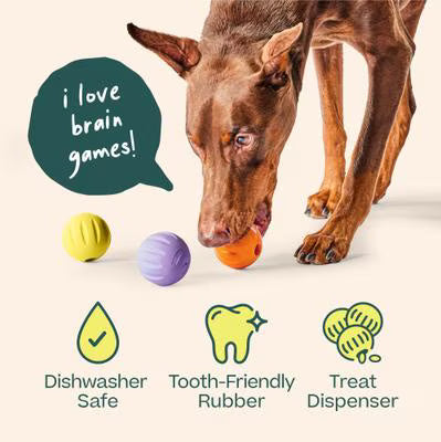 Woof Flyball Fetch Ball & Fits Standard Launchers Interactive Dog Toy, Lavender/Orange/Yellow, 3 count