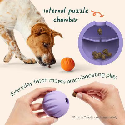 WOOF FORAGER FLYBALL LAVENDAR