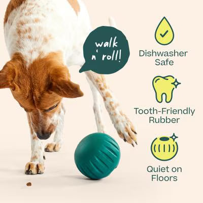 WOOF FORAGERT WALKABOUT S