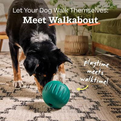 WOOF FORAGERT WALKABOUT S