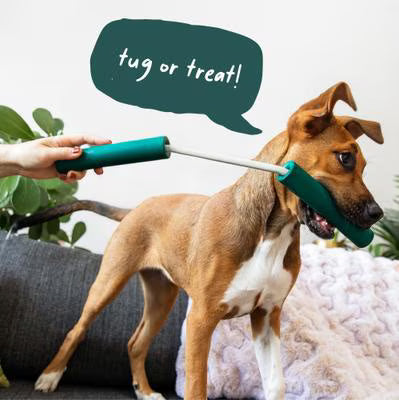 WOOF FORAGER NOMCHUCK