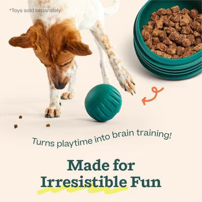 WOOF CH PUZZLE TREAT 5Z